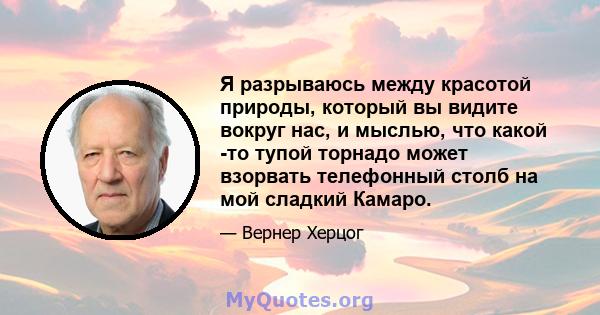 Я разрываюсь между красотой природы, который вы видите вокруг нас, и мыслью, что какой -то тупой торнадо может взорвать телефонный столб на мой сладкий Камаро.