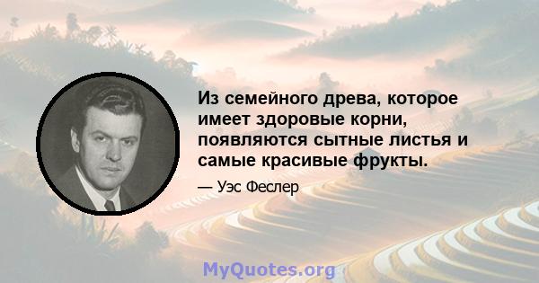 Из семейного древа, которое имеет здоровые корни, появляются сытные листья и самые красивые фрукты.