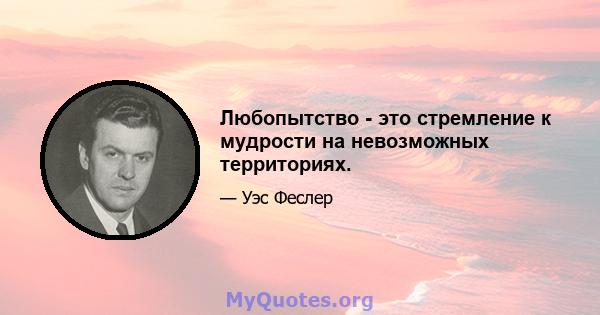 Любопытство - это стремление к мудрости на невозможных территориях.