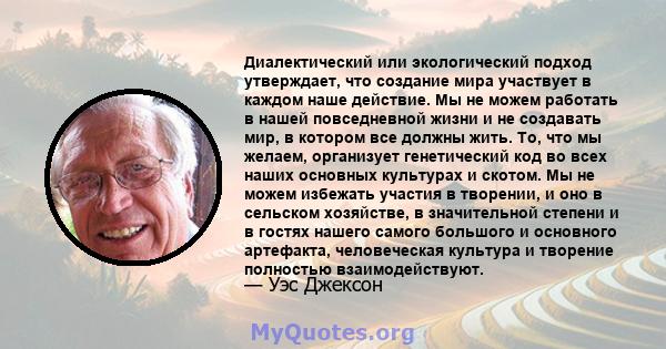 Диалектический или экологический подход утверждает, что создание мира участвует в каждом наше действие. Мы не можем работать в нашей повседневной жизни и не создавать мир, в котором все должны жить. То, что мы желаем,