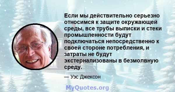 Если мы действительно серьезно относимся к защите окружающей среды, все трубы выписки и стеки промышленности будут подключаться непосредственно к своей стороне потребления, и затраты не будут экстернализованы в