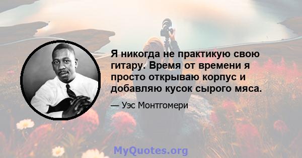 Я никогда не практикую свою гитару. Время от времени я просто открываю корпус и добавляю кусок сырого мяса.