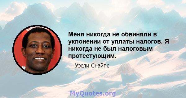 Меня никогда не обвиняли в уклонении от уплаты налогов. Я никогда не был налоговым протестующим.