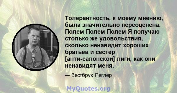 Толерантность, к моему мнению, была значительно переоценена. Полем Полем Полем Я получаю столько же удовольствия, сколько ненавидит хороших братьев и сестер [анти-салонской] лиги, как они ненавидят меня.