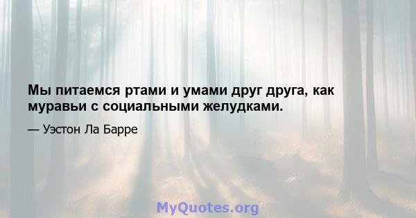 Мы питаемся ртами и умами друг друга, как муравьи с социальными желудками.