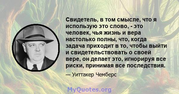 Свидетель, в том смысле, что я использую это слово, - это человек, чья жизнь и вера настолько полны, что, когда задача приходит в то, чтобы выйти и свидетельствовать о своей вере, он делает это, игнорируя все риски,