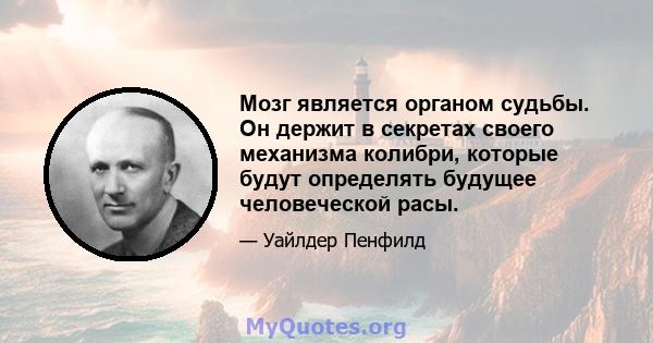 Мозг является органом судьбы. Он держит в секретах своего механизма колибри, которые будут определять будущее человеческой расы.