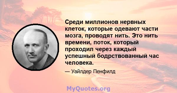 Среди миллионов нервных клеток, которые одевают части мозга, проводят нить. Это нить времени, поток, который проходил через каждый успешный бодрствованный час человека.