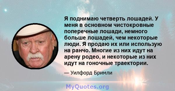 Я поднимаю четверть лошадей. У меня в основном чистокровные поперечные лошади, немного больше лошадей, чем некоторые люди. Я продаю их или использую на ранчо. Многие из них идут на арену родео, и некоторые из них идут