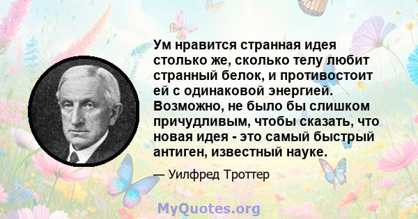 Ум нравится странная идея столько же, сколько телу любит странный белок, и противостоит ей с одинаковой энергией. Возможно, не было бы слишком причудливым, чтобы сказать, что новая идея - это самый быстрый антиген,