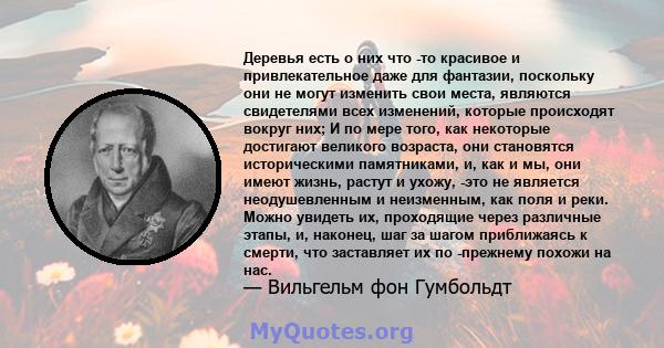 Деревья есть о них что -то красивое и привлекательное даже для фантазии, поскольку они не могут изменить свои места, являются свидетелями всех изменений, которые происходят вокруг них; И по мере того, как некоторые