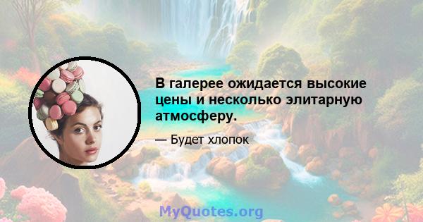 В галерее ожидается высокие цены и несколько элитарную атмосферу.