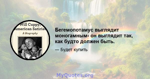 Бегемопотамус выглядит моногамным- он выглядит так, как будто должен быть.