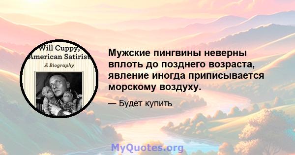 Мужские пингвины неверны вплоть до позднего возраста, явление иногда приписывается морскому воздуху.