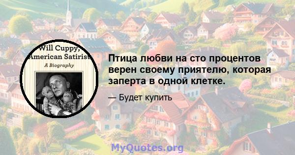 Птица любви на сто процентов верен своему приятелю, которая заперта в одной клетке.