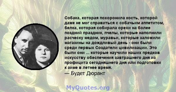 Собака, которая похоронила кость, которой даже не мог справиться с собачьим аппетитом, белка, которая собирала орехи на более поздний праздник, пчелы, которые наполнили расческу медом, муравьи, которые заложили магазины 