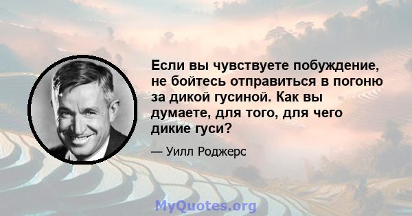 Если вы чувствуете побуждение, не бойтесь отправиться в погоню за дикой гусиной. Как вы думаете, для того, для чего дикие гуси?