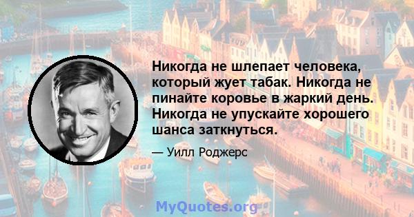 Никогда не шлепает человека, который жует табак. Никогда не пинайте коровье в жаркий день. Никогда не упускайте хорошего шанса заткнуться.