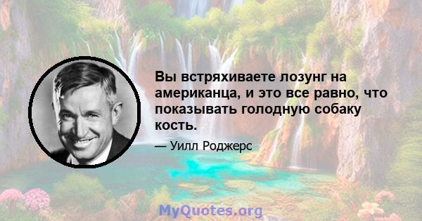 Вы встряхиваете лозунг на американца, и это все равно, что показывать голодную собаку кость.