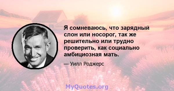 Я сомневаюсь, что зарядный слон или носорог, так же решительно или трудно проверить, как социально амбициозная мать.