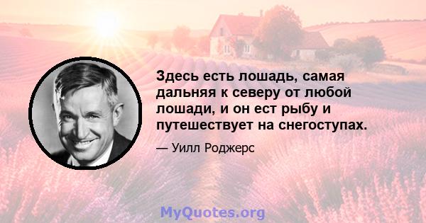 Здесь есть лошадь, самая дальняя к северу от любой лошади, и он ест рыбу и путешествует на снегоступах.