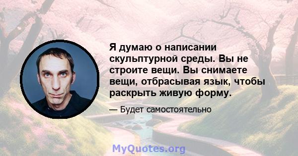 Я думаю о написании скульптурной среды. Вы не строите вещи. Вы снимаете вещи, отбрасывая язык, чтобы раскрыть живую форму.