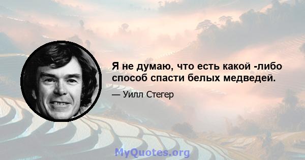 Я не думаю, что есть какой -либо способ спасти белых медведей.