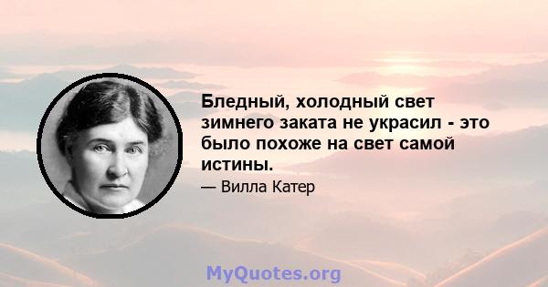 Бледный, холодный свет зимнего заката не украсил - это было похоже на свет самой истины.