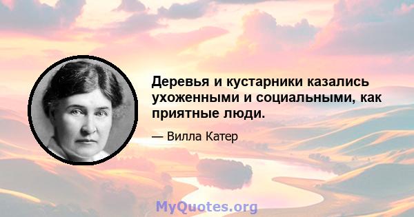 Деревья и кустарники казались ухоженными и социальными, как приятные люди.