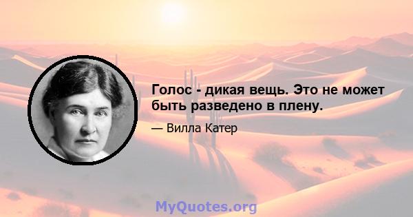 Голос - дикая вещь. Это не может быть разведено в плену.