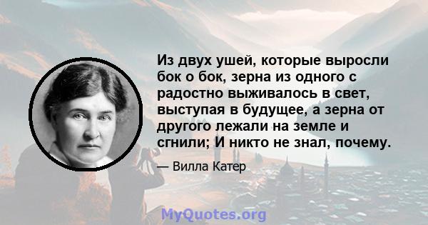 Из двух ушей, которые выросли бок о бок, зерна из одного с радостно выживалось в свет, выступая в будущее, а зерна от другого лежали на земле и сгнили; И никто не знал, почему.