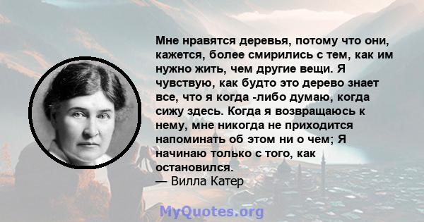 Мне нравятся деревья, потому что они, кажется, более смирились с тем, как им нужно жить, чем другие вещи. Я чувствую, как будто это дерево знает все, что я когда -либо думаю, когда сижу здесь. Когда я возвращаюсь к