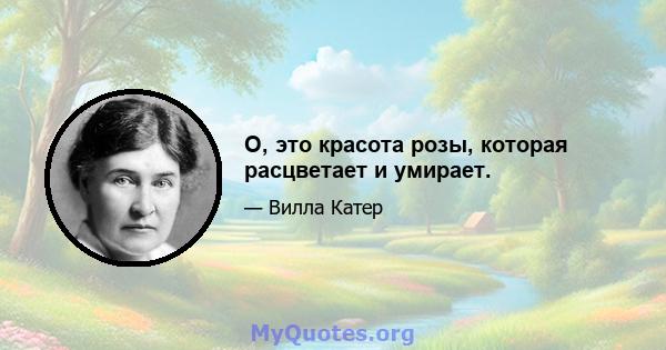 О, это красота розы, которая расцветает и умирает.