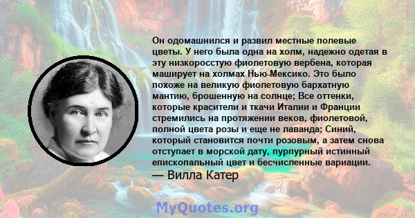 Он одомашнился и развил местные полевые цветы. У него была одна на холм, надежно одетая в эту низкоросстую фиолетовую вербена, которая маширует на холмах Нью-Мексико. Это было похоже на великую фиолетовую бархатную