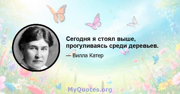 Сегодня я стоял выше, прогуливаясь среди деревьев.