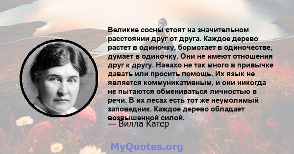 Великие сосны стоят на значительном расстоянии друг от друга. Каждое дерево растет в одиночку, бормотает в одиночестве, думает в одиночку. Они не имеют отношения друг к другу. Навахо не так много в привычке давать или