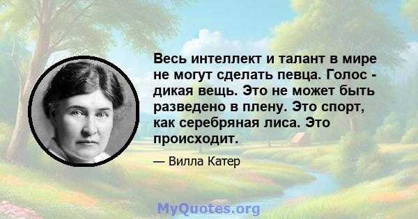 Весь интеллект и талант в мире не могут сделать певца. Голос - дикая вещь. Это не может быть разведено в плену. Это спорт, как серебряная лиса. Это происходит.