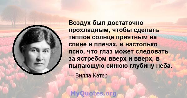 Воздух был достаточно прохладным, чтобы сделать теплое солнце приятным на спине и плечах, и настолько ясно, что глаз может следовать за ястребом вверх и вверх, в пылающую синюю глубину неба.