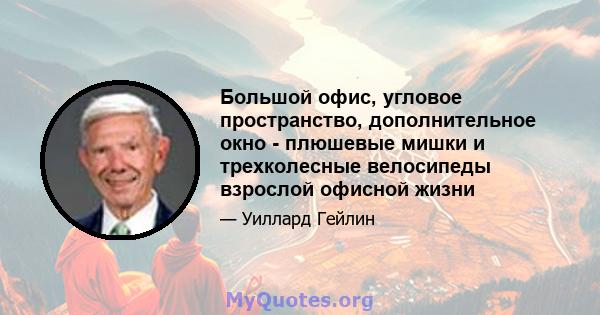 Большой офис, угловое пространство, дополнительное окно - плюшевые мишки и трехколесные велосипеды взрослой офисной жизни