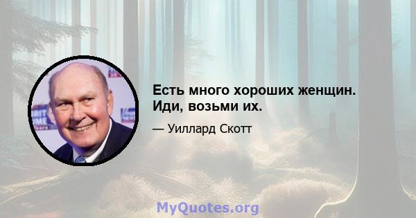 Есть много хороших женщин. Иди, возьми их.