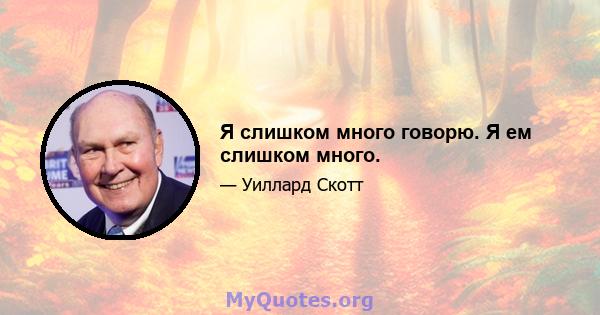 Я слишком много говорю. Я ем слишком много.