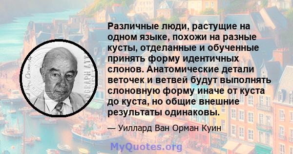 Различные люди, растущие на одном языке, похожи на разные кусты, отделанные и обученные принять форму идентичных слонов. Анатомические детали веточек и ветвей будут выполнять слоновную форму иначе от куста до куста, но