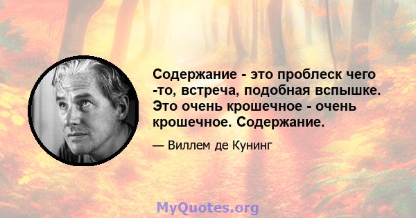 Содержание - это проблеск чего -то, встреча, подобная вспышке. Это очень крошечное - очень крошечное. Содержание.