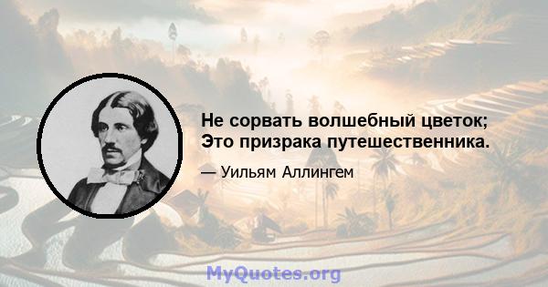 Не сорвать волшебный цветок; Это призрака путешественника.