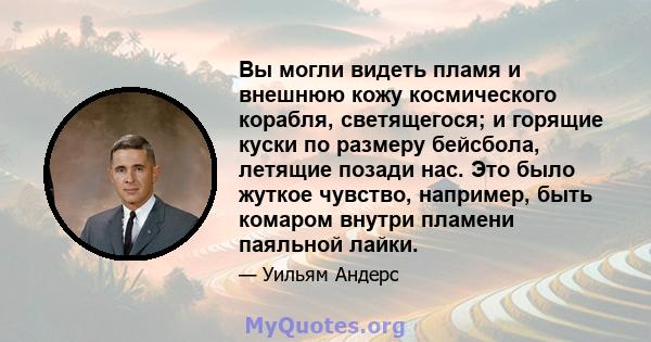 Вы могли видеть пламя и внешнюю кожу космического корабля, светящегося; и горящие куски по размеру бейсбола, летящие позади нас. Это было жуткое чувство, например, быть комаром внутри пламени паяльной лайки.