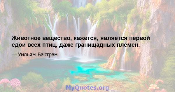 Животное вещество, кажется, является первой едой всех птиц, даже гранищадных племен.