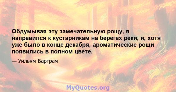 Обдумывая эту замечательную рощу, я направился к кустарникам на берегах реки, и, хотя уже было в конце декабря, ароматические рощи появились в полном цвете.