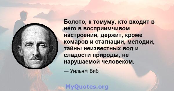 Болото, к томуму, кто входит в него в восприимчивом настроении, держит, кроме комаров и стагнации, мелодии, тайны неизвестных вод и сладости природы, не нарушаемой человеком.