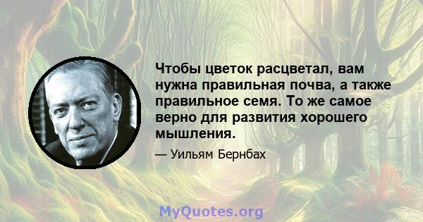 Чтобы цветок расцветал, вам нужна правильная почва, а также правильное семя. То же самое верно для развития хорошего мышления.