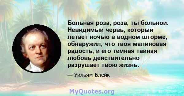 Больная роза, роза, ты больной. Невидимый червь, который летает ночью в водном шторме, обнаружил, что твоя малиновая радость, и его темная тайная любовь действительно разрушает твою жизнь.